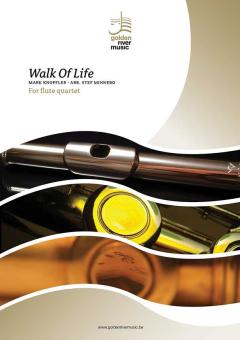 Walk Of Life 