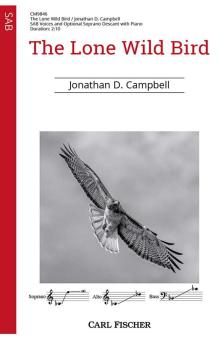 The Lone Wild Bird 