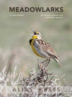 Meadowlarks 