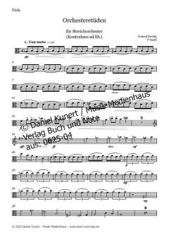 Orchesteretüden - Viola 