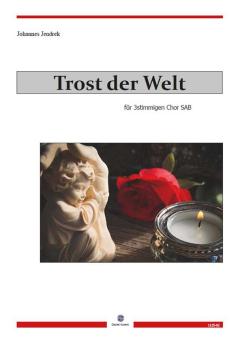 Trost der Welt 