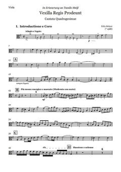 Vexilla Regis Prodeunt - Viola 