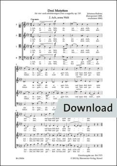 Ach, arme Welt op. 110 Nr. 2 