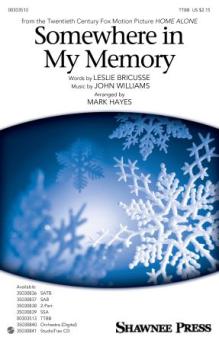Somewhere In My Memory 
