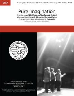Pure Imagination 