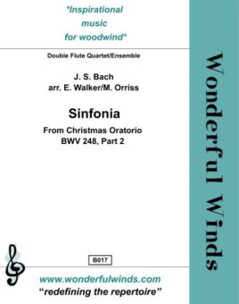 Sinfonia from Christmas Oratorio BWV 248, Part 2 
