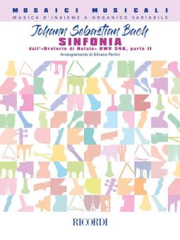 Sinfonie aus dem Weihnachtsoratorium BWV 248 Teil II 