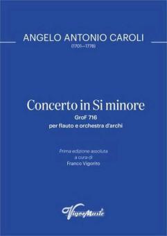 Concertino in Si Minore GroF 716 