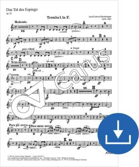 Das Tal des Espingo op. 50 