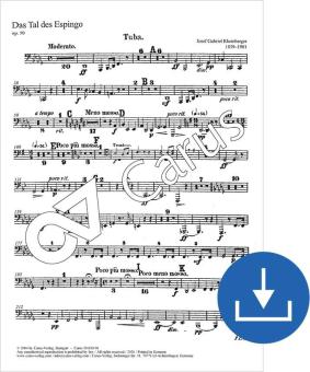 Das Tal des Espingo op. 50 