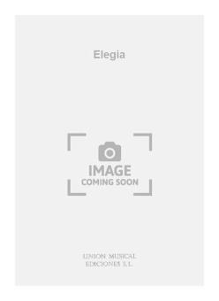 Elegia For Guitar 