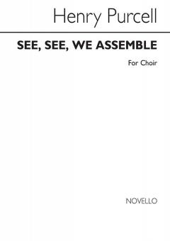 See, See, We Assemble 