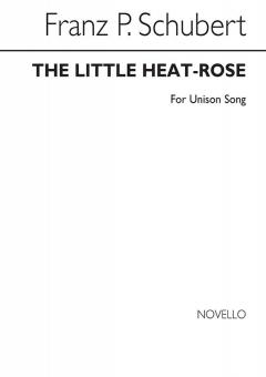 The Little Heath Rose 