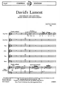 Davids Lament 