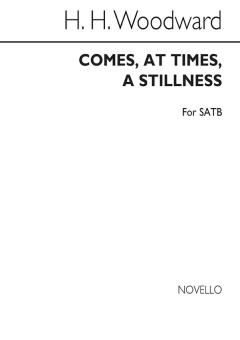 Comes, At Times, A Stillness 