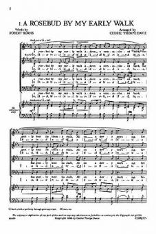 A Rosebud By My Early Walk 