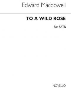 To A Wild Rose 