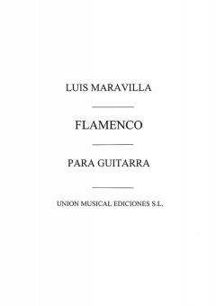 Flamenco Album Para Guitarra 