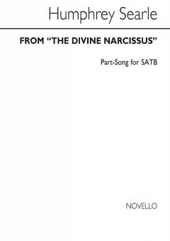 From The Divine Narcissus 