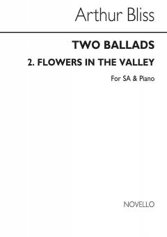 Flowers In The Valley 