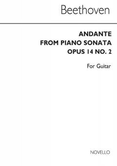 Andante For Guitar 