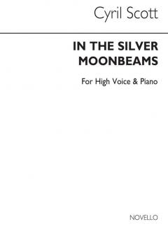 In The Silver Moonbeams 
