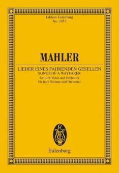 Lieder eines fahrenden Gesellen Standard