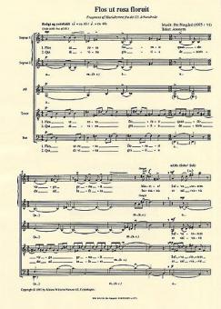 Flos Ut Rosa Floruit 