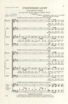 Ungewisses Licht Op. 141 No. 2 