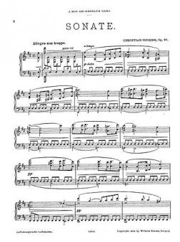 Piano Sonata in B Minor Op. 91 