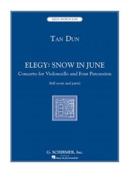 Elegy: Snow In June 