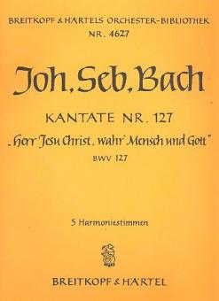 Herr Jesu Christ, wahr' Mensch und Gott 
