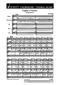 Lugete o Veneres Standard