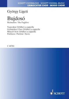 Bujdosó - Bedrückung Standard