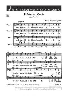 Trösterin Musik Standard