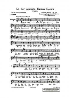 An der schönen blauen Donau op. 314 