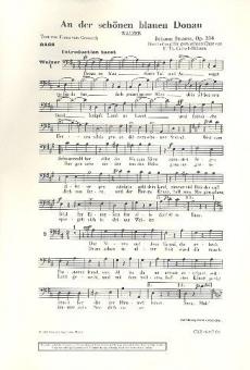 An der schönen blauen Donau op. 314 