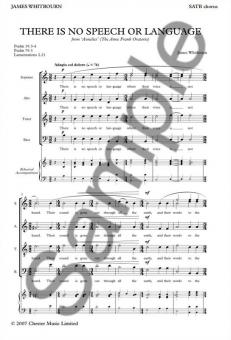 There Is No Speech or Language 