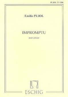 Pujol Impromptu Pujol 1206 Guitare 