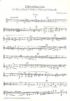 Divertimento 