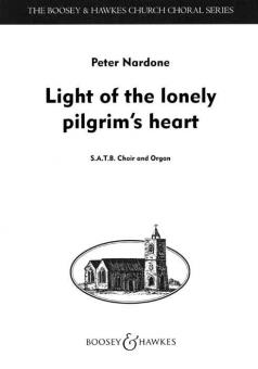 Light Of Lonely Pilgrims Heart 