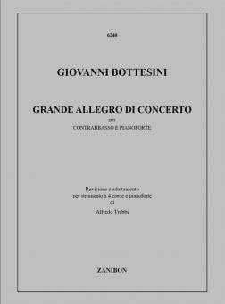 Grande Allegro Di Concerto 