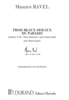 3 Beaux Oiseaux Du Paradis 