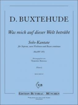 Was mich auf dieser Welt betrübt 