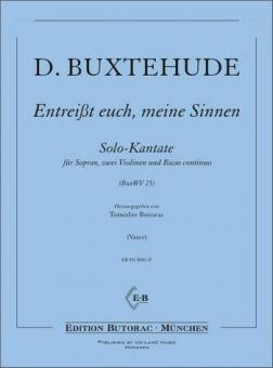 Entreiss euch meine Sinnen 