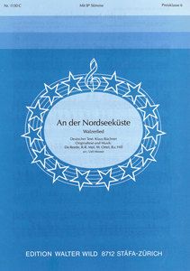 An der Nordseeküste 