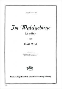 Im Waldgebirge 