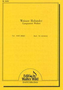 Weisser Holunder 