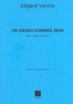 Un Grand Sommeil 