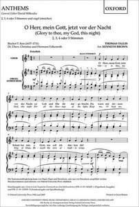 O Herr, mein Gott, jetzt vor der Nacht 